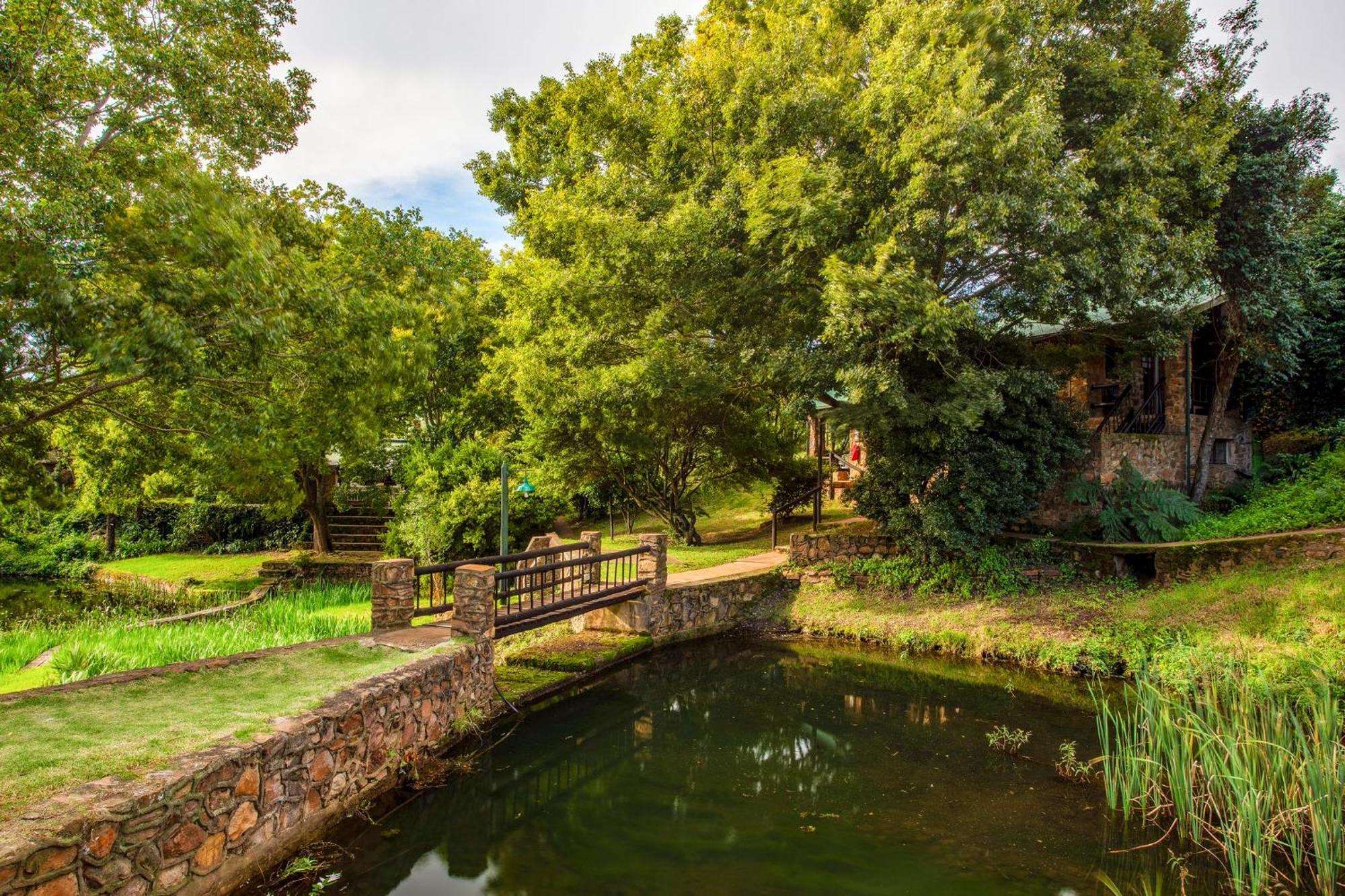Paardeplaats Nature Retreat Rhenosterhoek Екстериор снимка