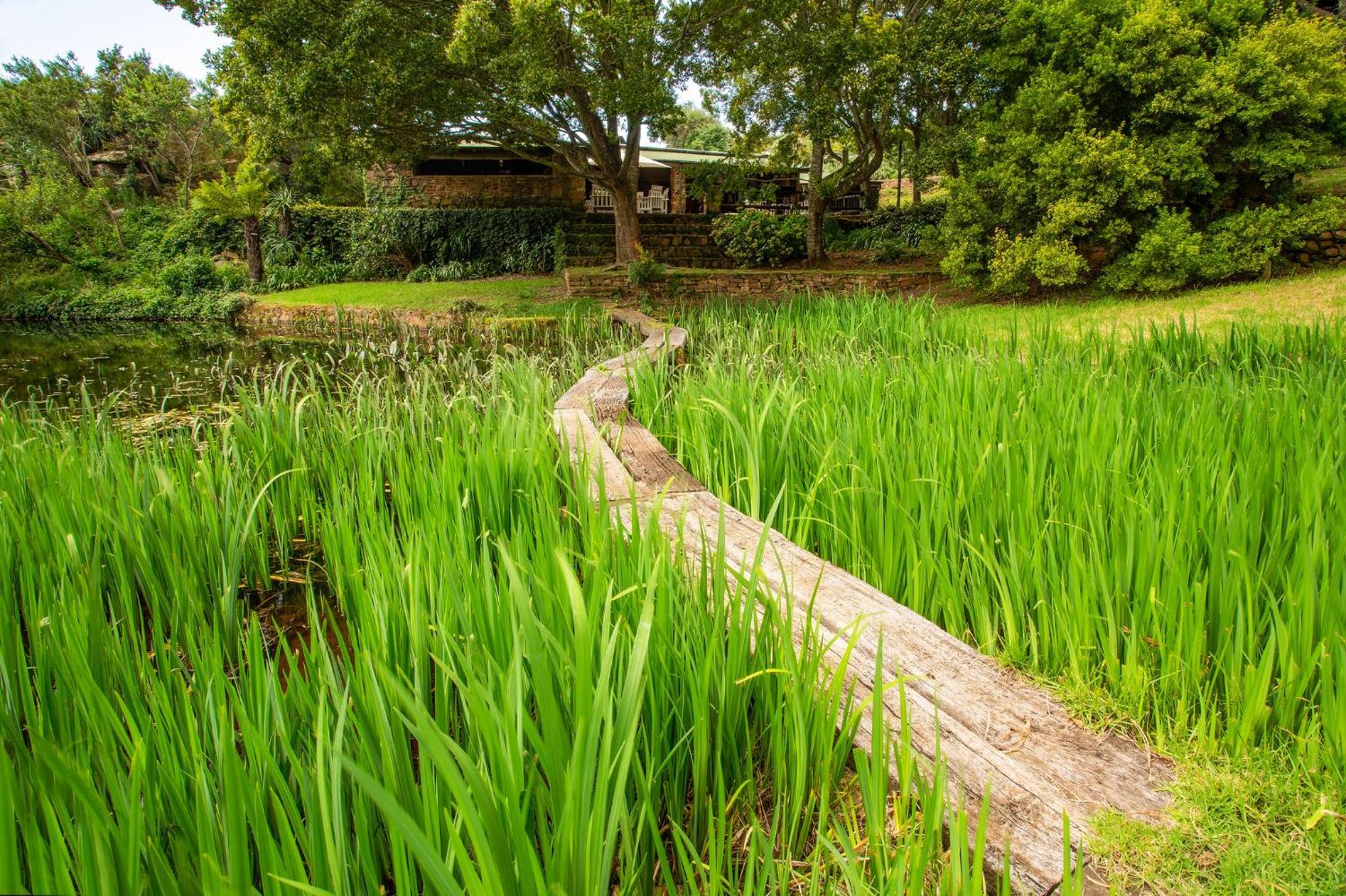 Paardeplaats Nature Retreat Rhenosterhoek Екстериор снимка