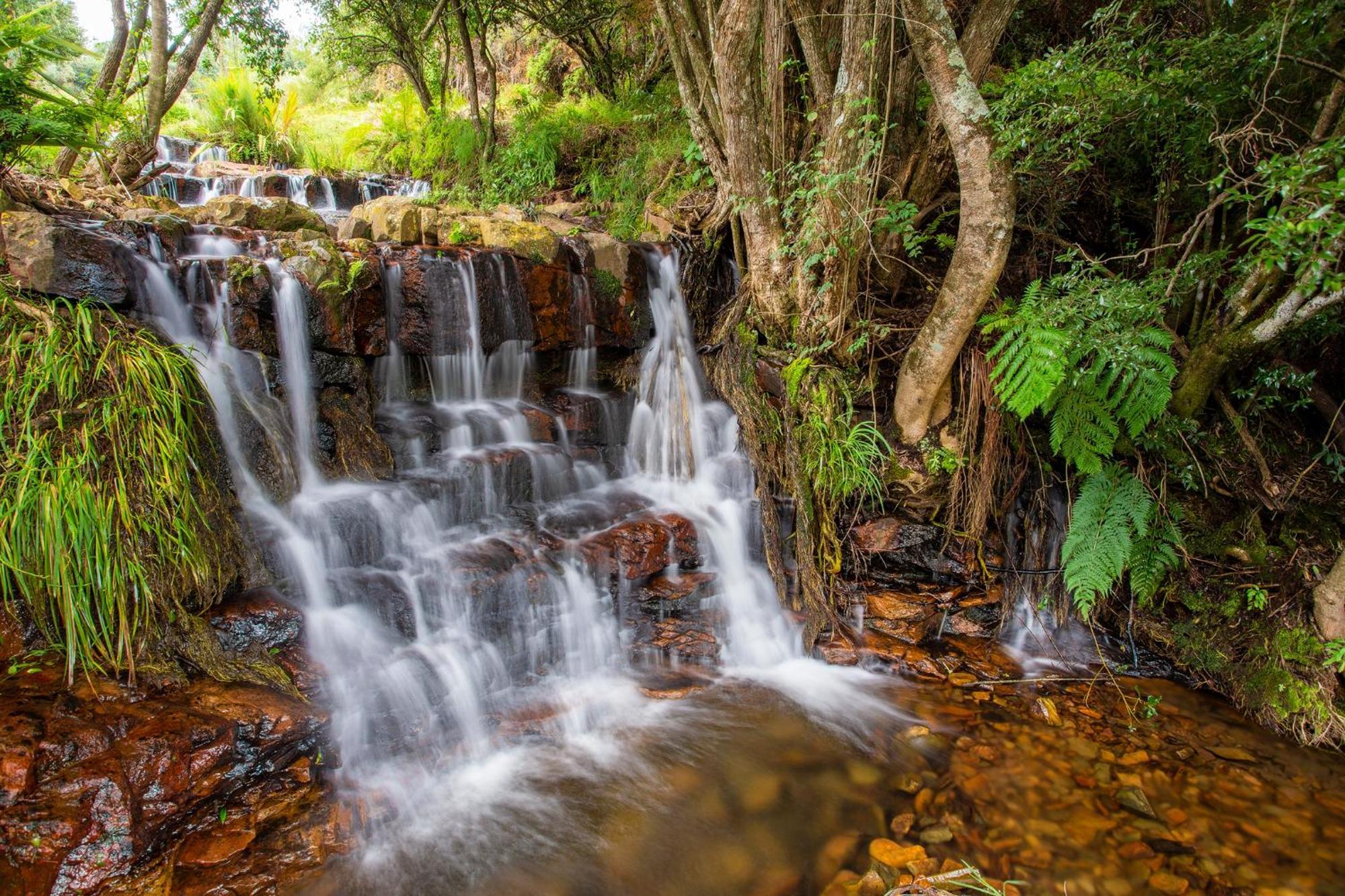 Paardeplaats Nature Retreat Rhenosterhoek Екстериор снимка