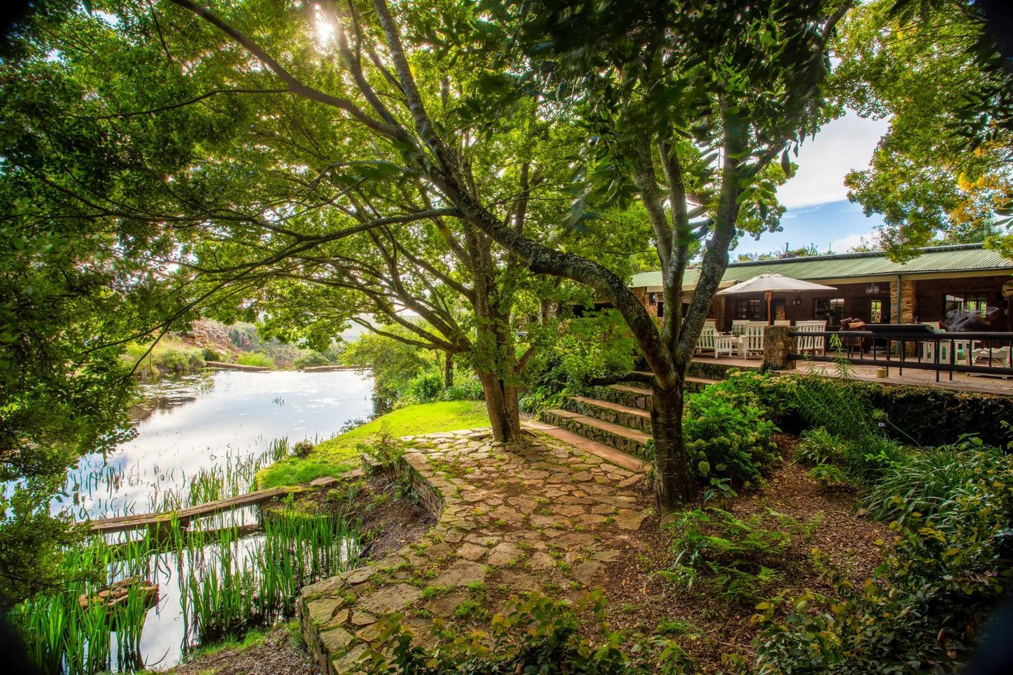 Paardeplaats Nature Retreat Rhenosterhoek Екстериор снимка