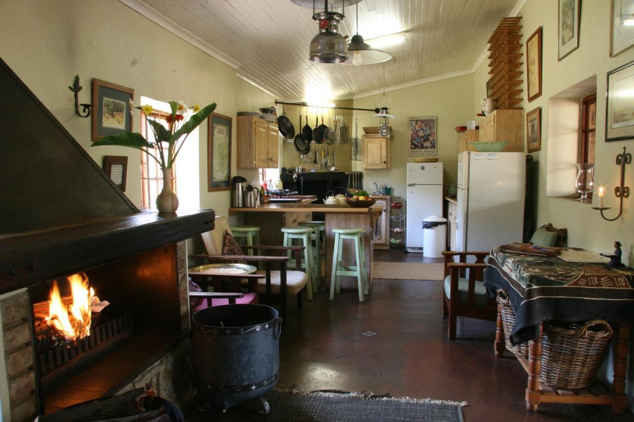Paardeplaats Nature Retreat Rhenosterhoek Екстериор снимка