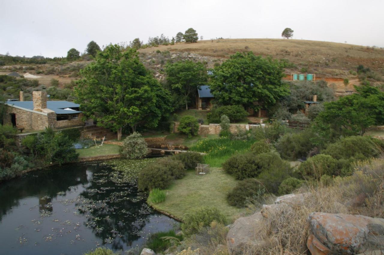 Paardeplaats Nature Retreat Rhenosterhoek Екстериор снимка